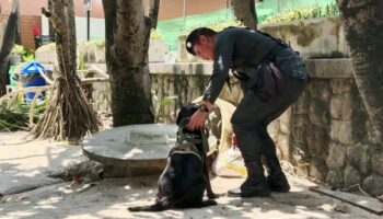 Пляж Патонг получает отделение по борьбе с терроризмом и собак-ищейек для безопасности туристов