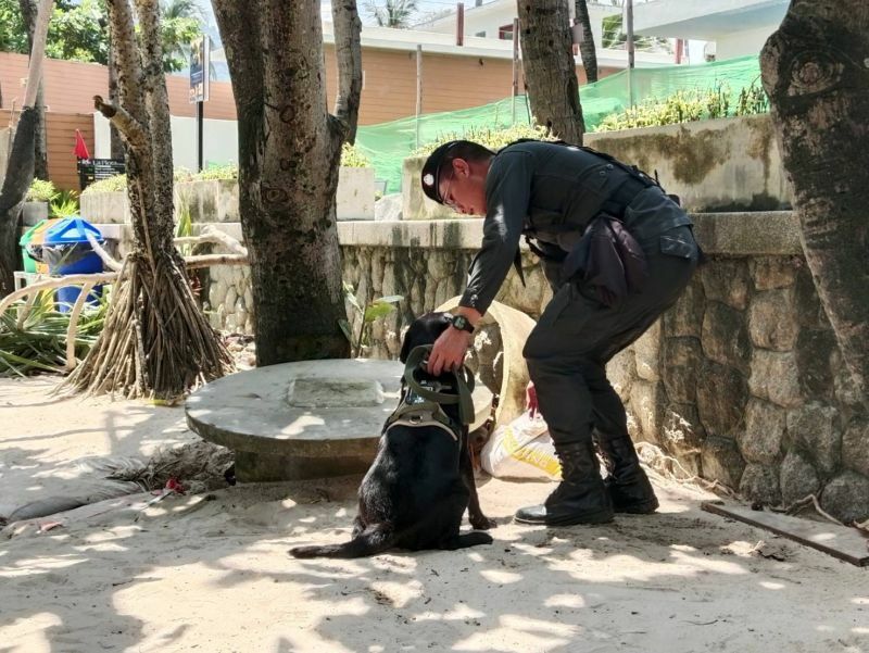 Пляж Патонг получает отделение по борьбе с терроризмом и собак-ищейек для безопасности туристов