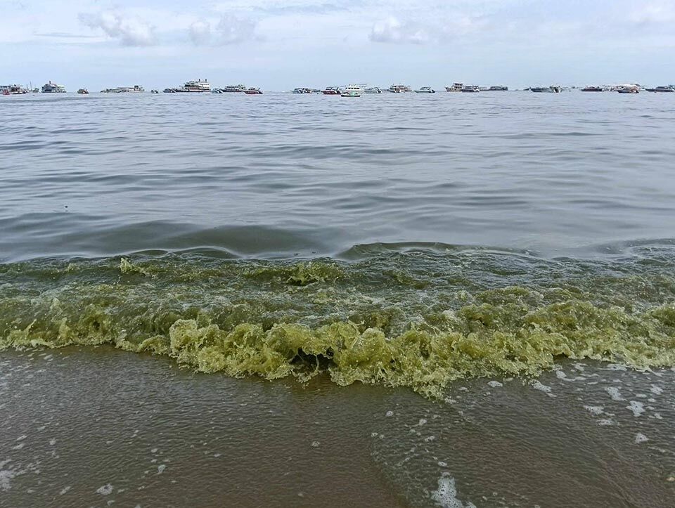 Пляж Паттайи становится зеленым: Цвітение планктона вызывает панику