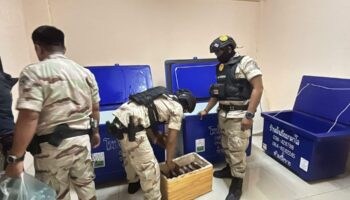 Полиция Паттайи занимается разбазариванием коктейлей kratom во время ночных рейдов