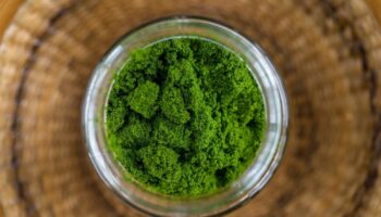 Разумное сельское хозяйство будет способствовать росту вольфии