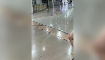 Репортера тайских новостей обвинили в публичном сексе и продаже онлайн-порно