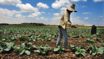 Семья получит останки жертвы