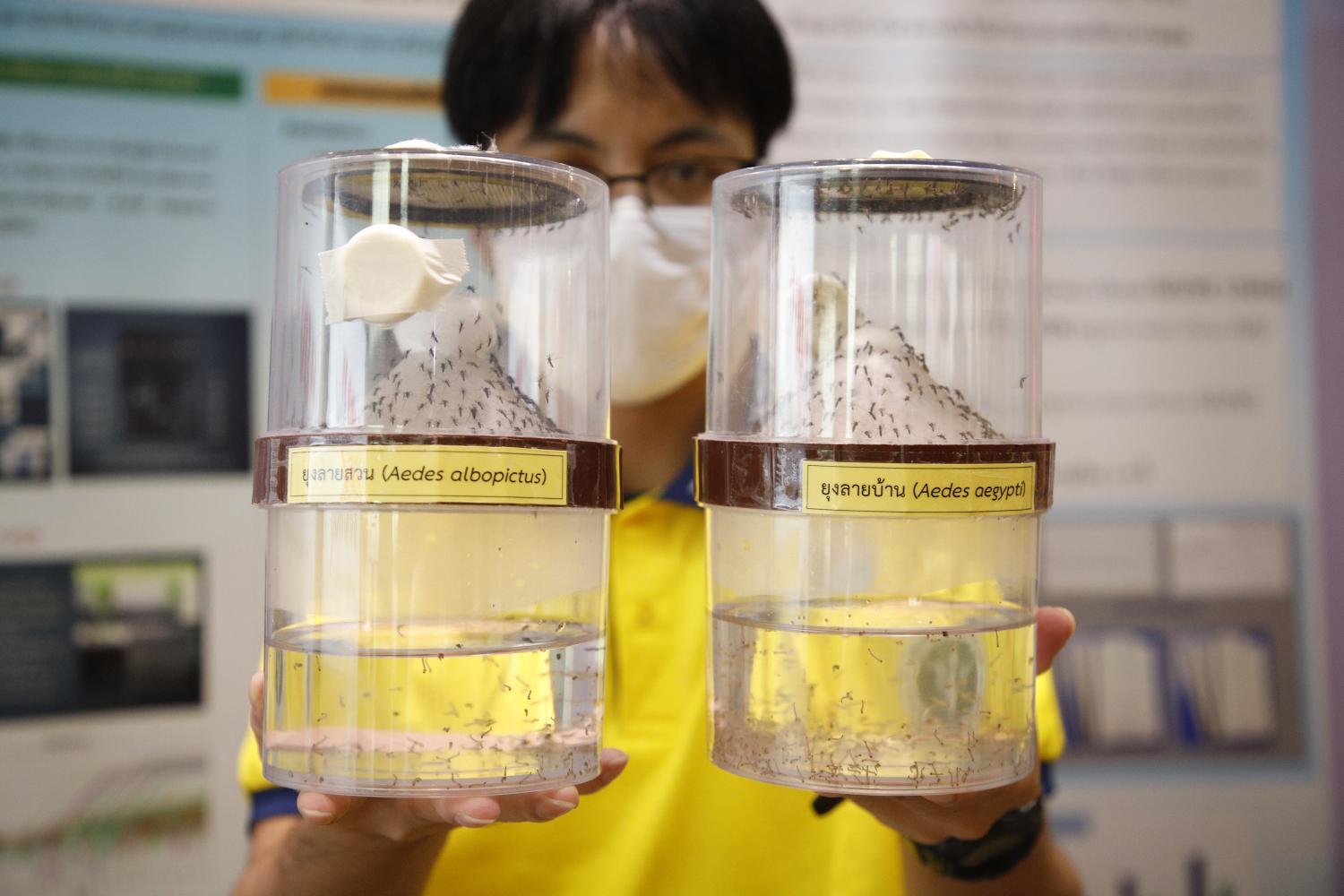 Сомсак излагает стратегию борьбы с лихорадкой денге