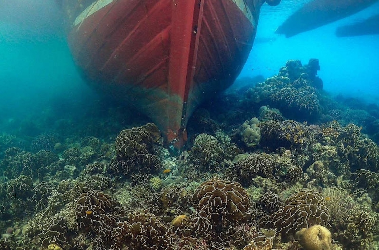Судно из Мьянмы врезалось в риф в морском парке Таиланда