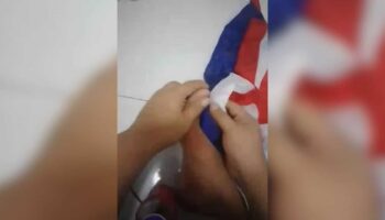 Таец арестован за то, что пописал на национальный флаг и портрет королевы