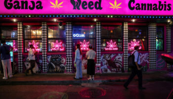 Таиландская индустрия каннабиса погружена в хаос