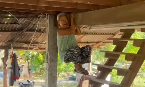 Тайская бабуля запрыгивает на потолочную балку, чтобы спастись от змеи