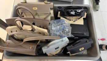 Тайская полиция задержала подозреваемого в краже предметов роскоши на сумму 10 миллионов бат