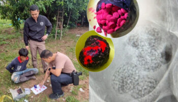 Тайские копы раскрывают наркосеть после того, как австриец проглатывает более 1,000 таблеток