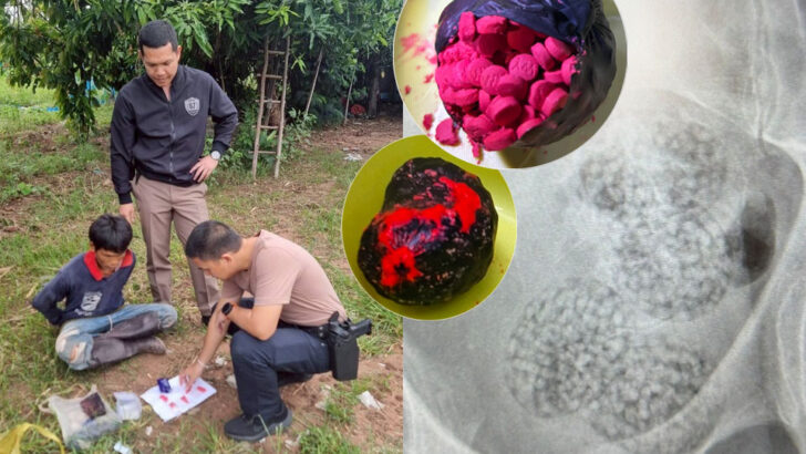 Тайские копы раскрывают наркосеть после того, как австриец проглатывает более 1,000 таблеток