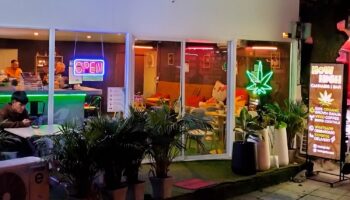 Тайские магазины каннабиса боятся за свое будущее