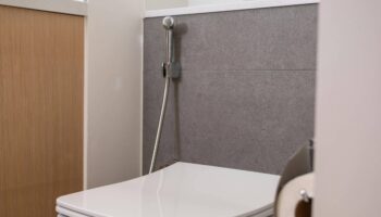 Тайский спрей для биде - гигиеническая культура ванной комнаты, которая есть в каждом доме