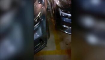 Тайский ювелир подал в суд на адвоката из-за вульгарного выпадения в споре на парковке