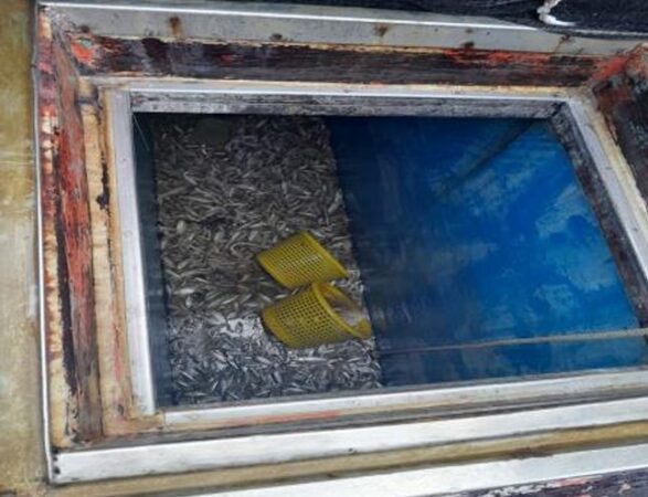 Трое рыбаков погибли от токсичного газа на тайском рыболовном судне