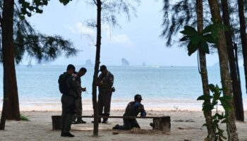 BRN 'белые лица' сеют страх на юге