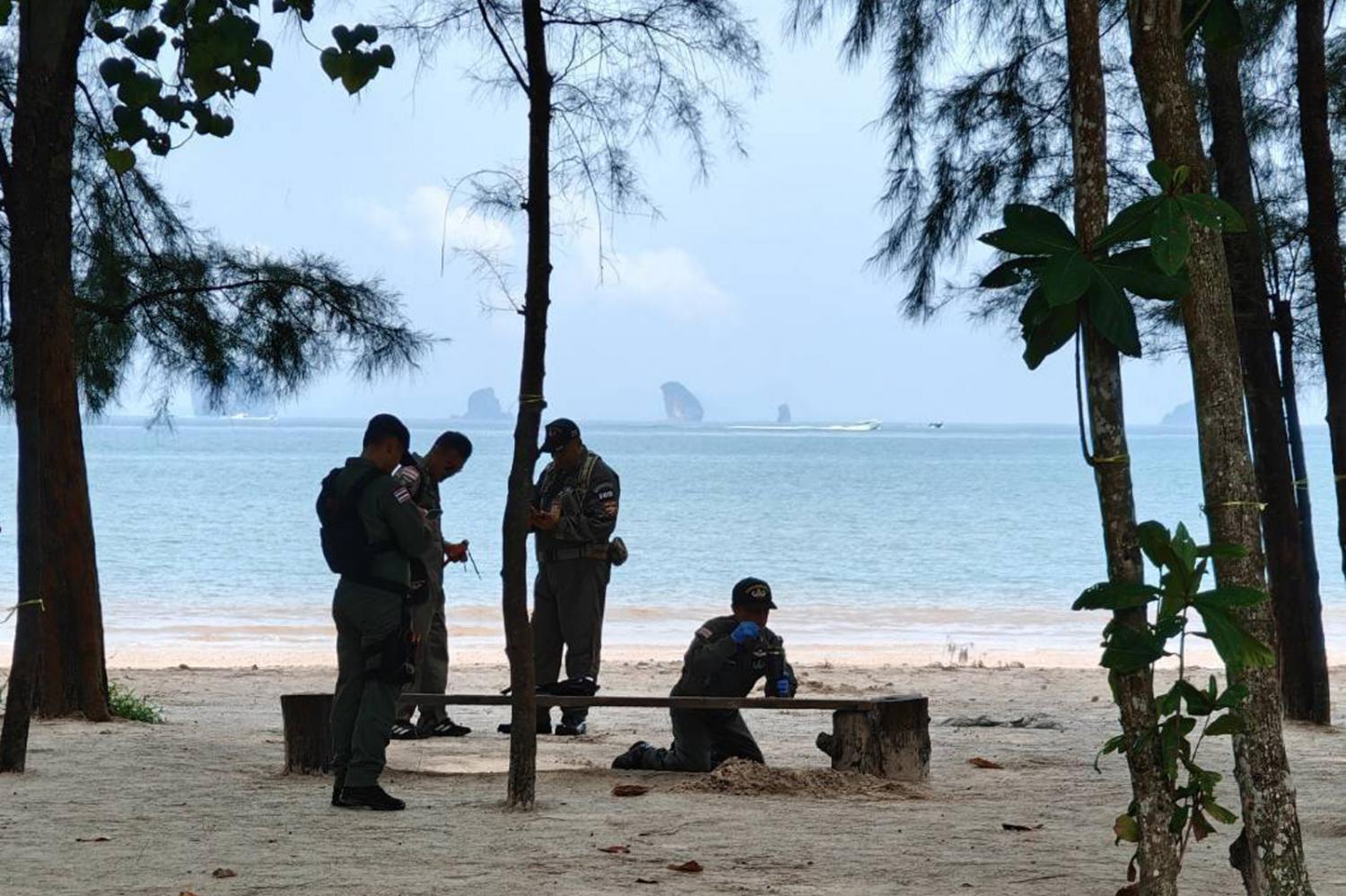 BRN 'белые лица' сеют страх на юге