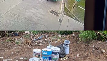 CCTV ловит выбрасывателей мусора в зелёной зоне Паттайи