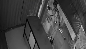 CCTV фиксирует, как иностранцы забирают кота тайского мужчины в Пхукете