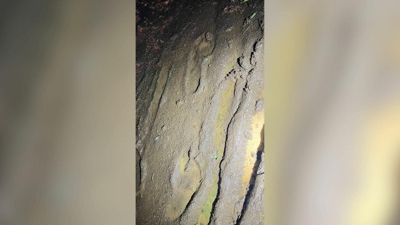 Бегство с одеялом: заключенный в Бурираме перелезает через стену с помощью импровизированной веревки