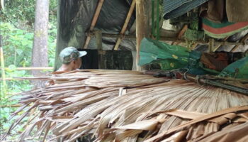 Браконьер арестован в национальном парке Кхао Лаем