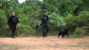 В результате взрыва бомбы пострадали четверо рейнджеров в районе Баннг Сата провинции Яла