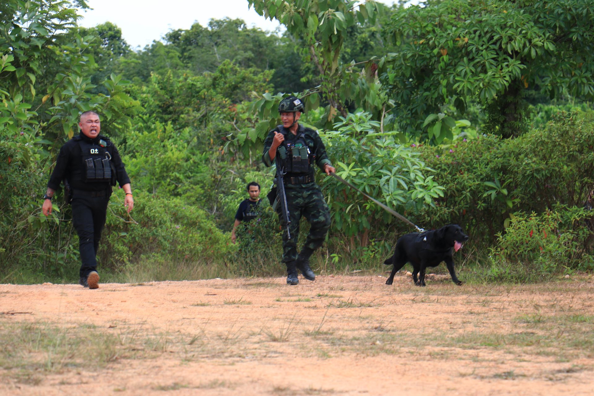 В результате взрыва бомбы пострадали четверо рейнджеров в районе Баннг Сата провинции Яла
