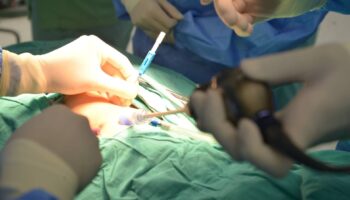 Врачи Бангкока проводят операции для новорожденных без рубцов