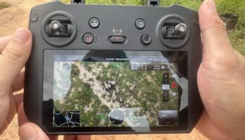 Дикие слоны из Тап Лан выходят на улицу, вызывая опасения