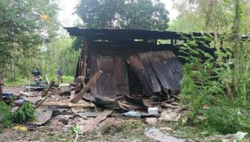 Дикие слоны ищут еду, сеют хаос в Прачинбури