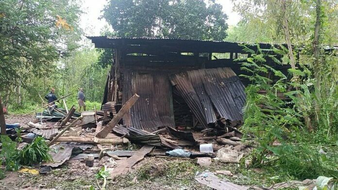 Дикие слоны ищут еду, сеют хаос в Прачинбури