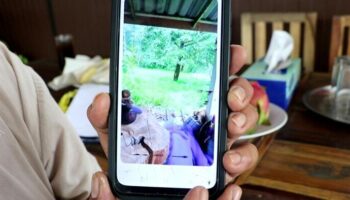 Дуриан и вон! Мечта заключенной из Таиланда украдена бывшим мужем