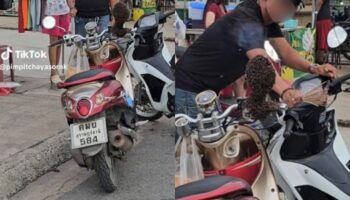 Жужжание: Видеоролик тайского мотоциклиста с пчелами на TikTok вызывает лотерейную лихорадку