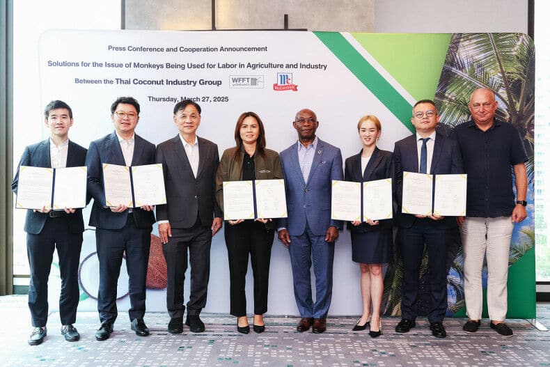 Запрет на猿业: тайские кокосы становятся гуманными