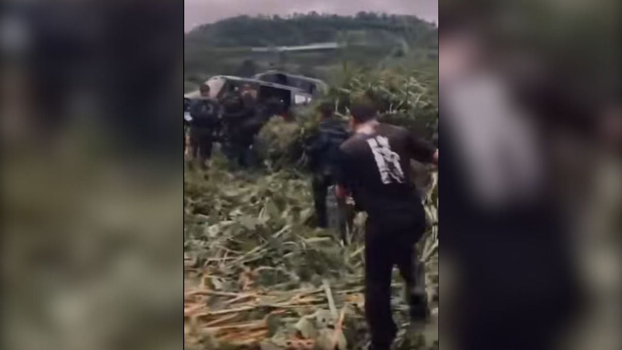 Испытание в джунглях заканчивается спасением 19 тайских рейнджеров (видео)