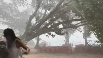 Китайская женщина погибла под упавшим деревом на пляже Пхукета (видео)