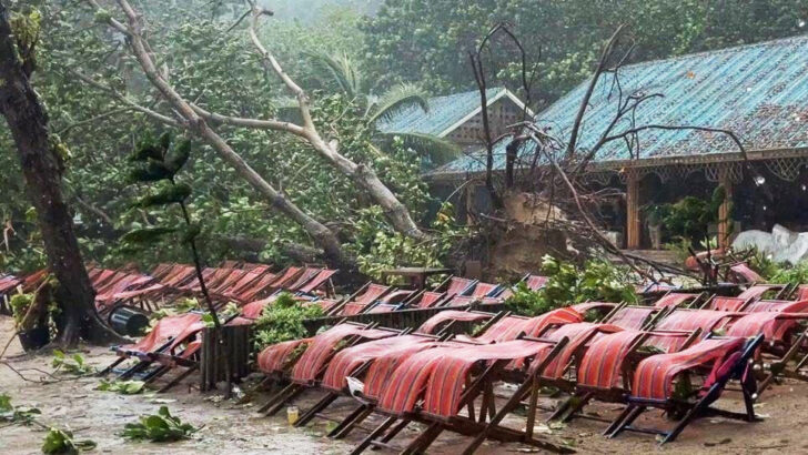 Китайский турист погиб от упавшего дерева во время шторма на пляже Пхукет