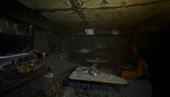 Кошачья катастрофа в Паттайе: Неисправная электрическая мухобойка стала причиной пожара в баре