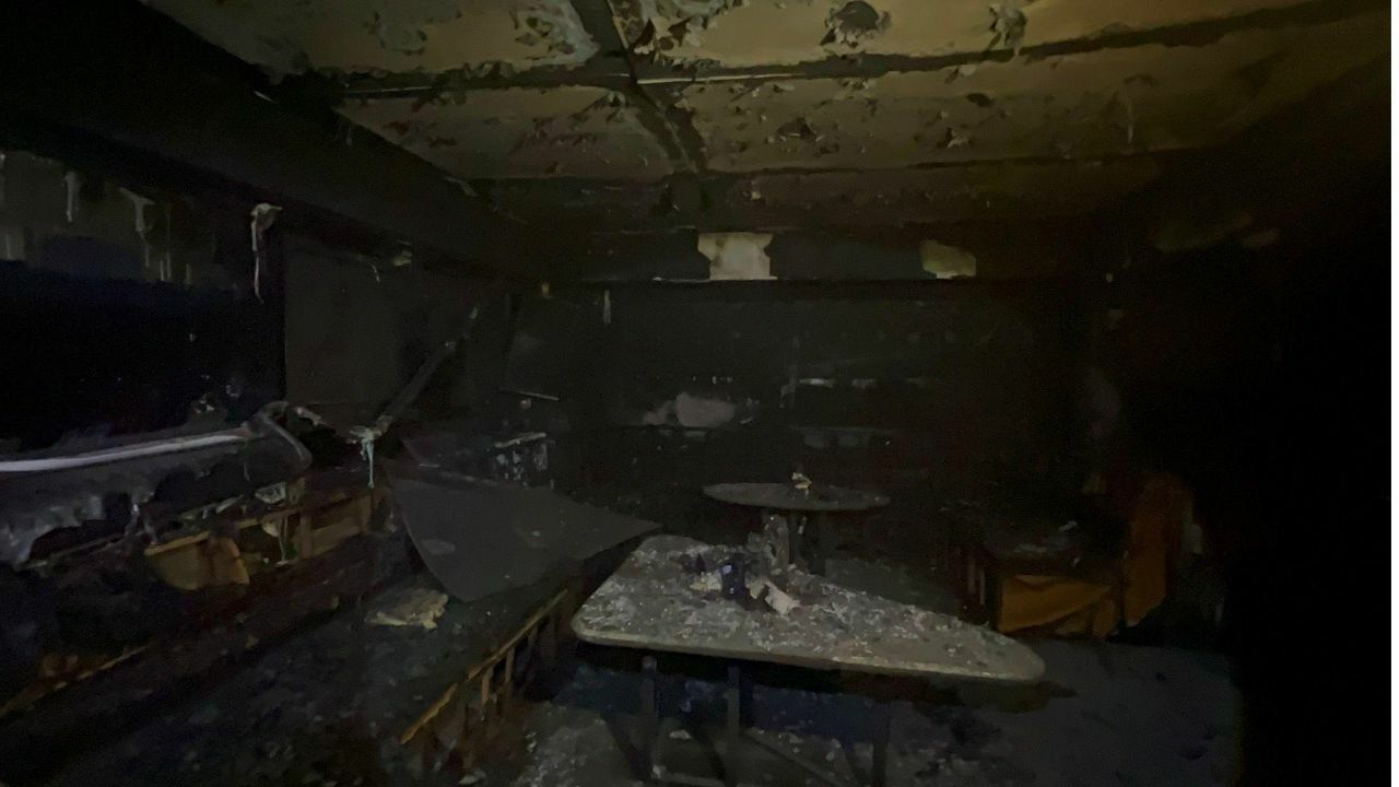 Кошачья катастрофа в Паттайе: Неисправная электрическая мухобойка стала причиной пожара в баре