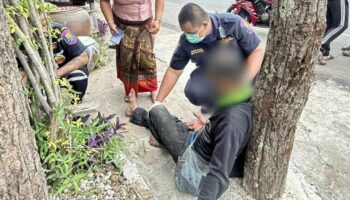 Лицо тайца проткнуто дурианом в аварии на пикапе в Бурираме