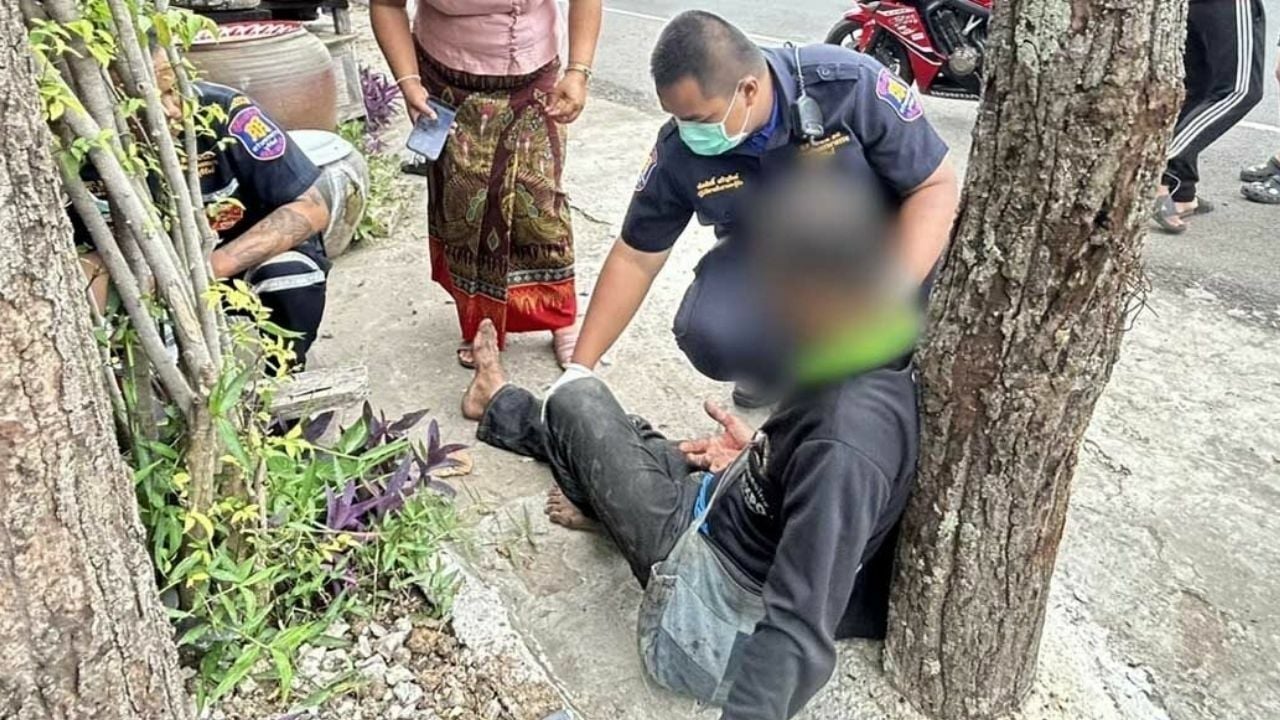 Лицо тайца проткнуто дурианом в аварии на пикапе в Бурираме