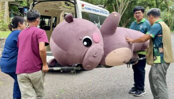 Маскот Moo Deng участвует в учениях в зоопарке