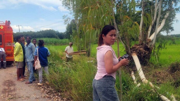 Мужчина погиб от удара электрическим током, другой пострадал в результате инцидента с деревом в Удоне Тхани