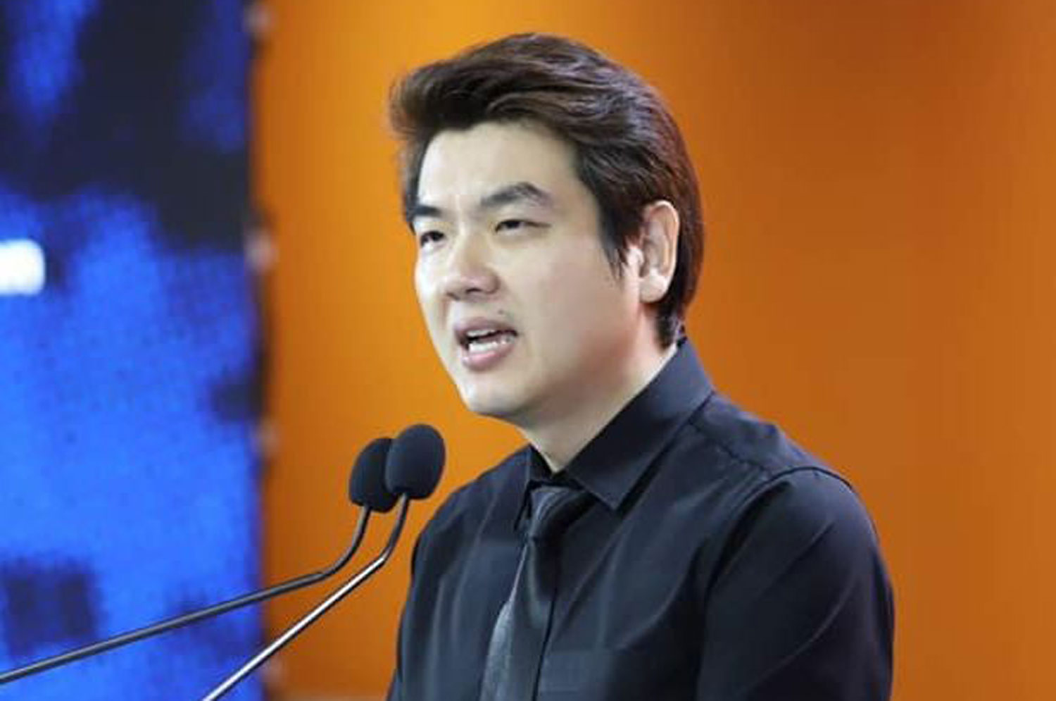 Пиябутр критикует депутатов по поводу амнистии S112