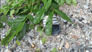 Полицейский застрелен из засады в Наративате