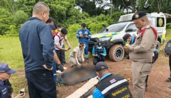 Скелет женщины найден в лесу Удон Тхани во время сбора грибов