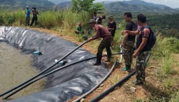 Слон, спасённый из водохранилища в районе Пхато провинции Чумпхон