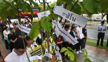 Ставки на законопроект о казино