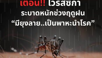 Страх перед Zika охватывает Таиланд на фоне роста заболеваемости в сезон дождей
