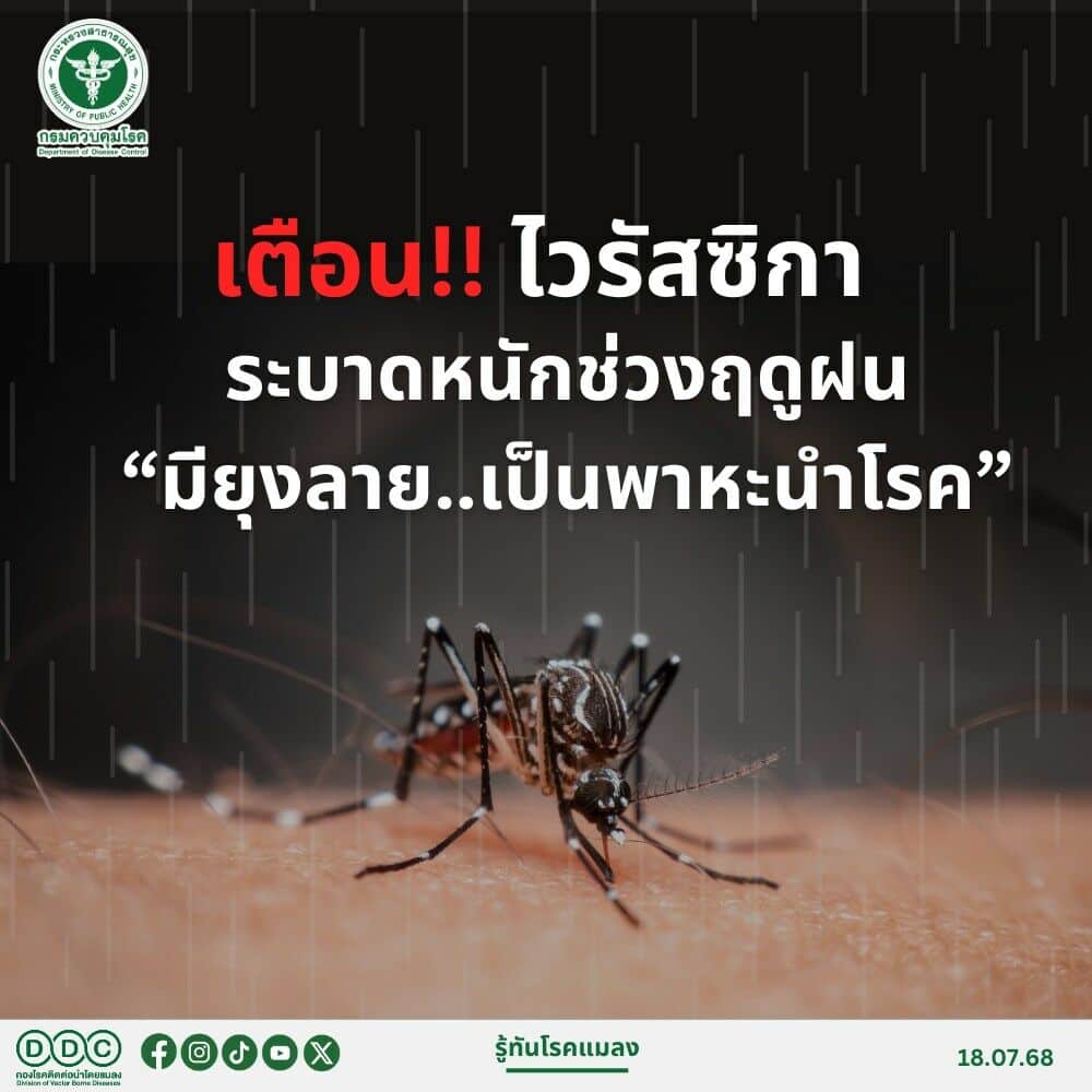 Страх перед Zika охватывает Таиланд на фоне роста заболеваемости в сезон дождей